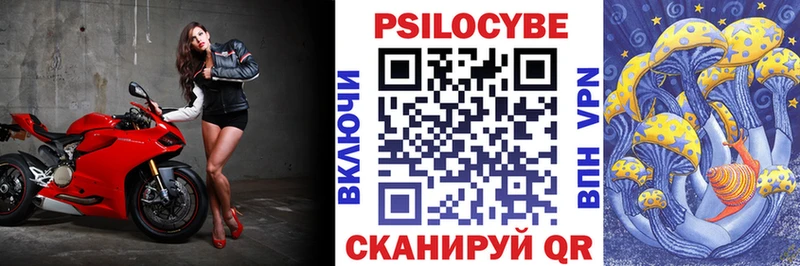 магазин продажи наркотиков  Агрыз  Галлюциногенные грибы Psilocybe 